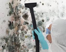 Trusted Byrdstown, TN Mold Removal & Remediation Experts